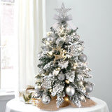 NEITH 2ft Flocked Mini Christmas Tree with LED Lights - Tabletop Tree